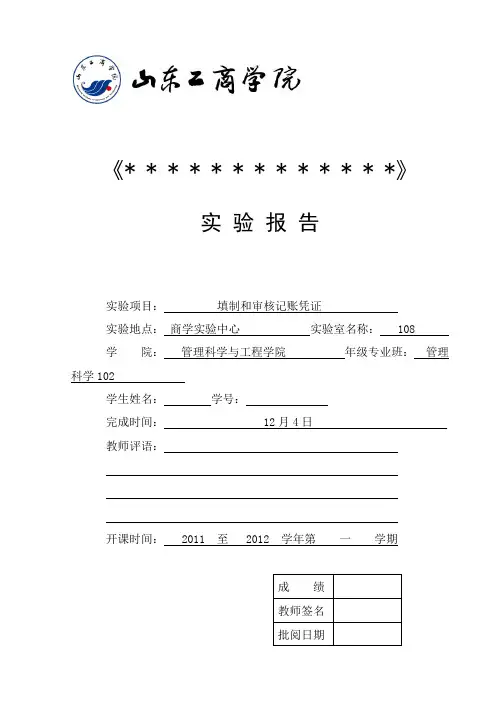 会计实验报告模板