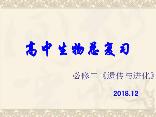 高中生物必修二全复习PPT 课件
