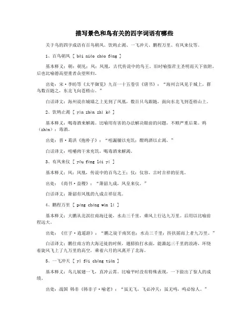 描写景色和鸟有关的四字词语有哪些