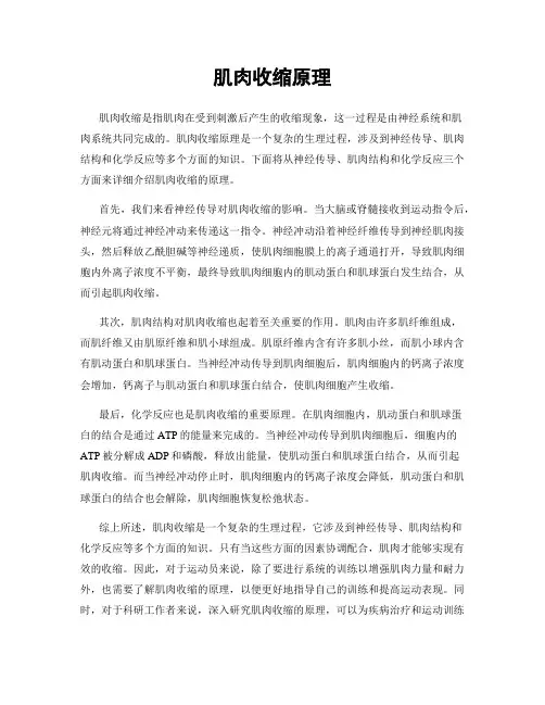 肌肉收缩原理