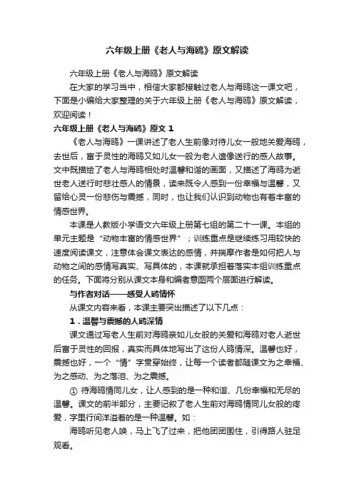 六年级上册《老人与海鸥》原文解读