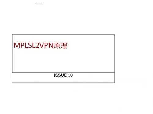 MPLSL2VPN原理培训胶片(PPT 45张)
