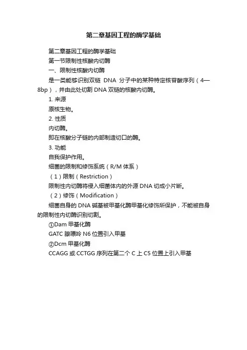 第二章基因工程的酶学基础