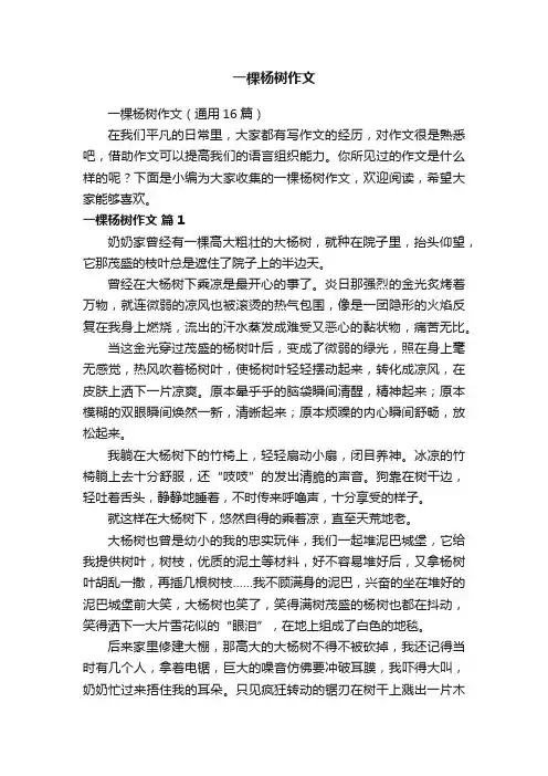 一棵杨树作文（通用16篇）