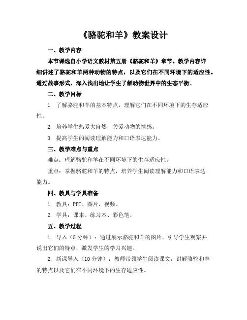 《骆驼和羊》教案设计