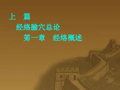 (完整版)十五络脉的循行