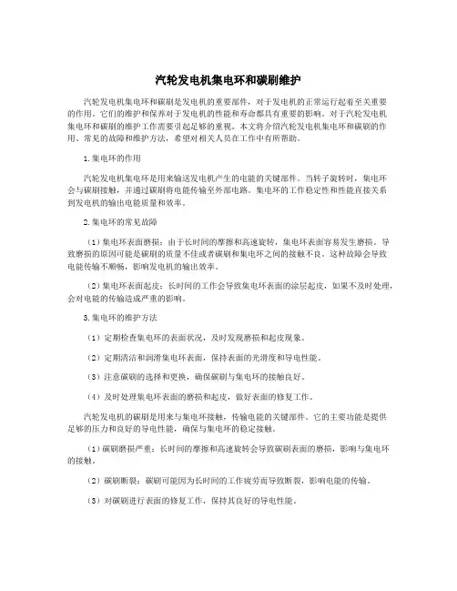 汽轮发电机集电环和碳刷维护