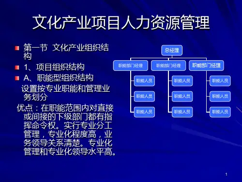 文化产业项目管理第二章 PPT课件