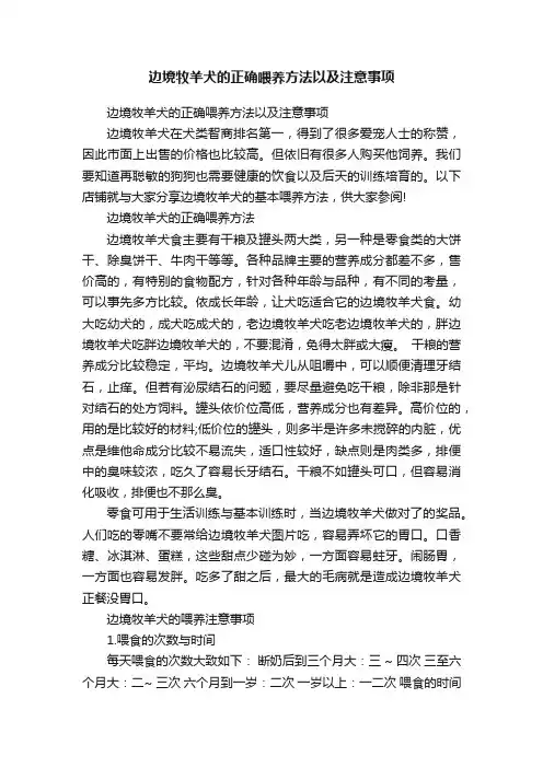 边境牧羊犬的正确喂养方法以及注意事项