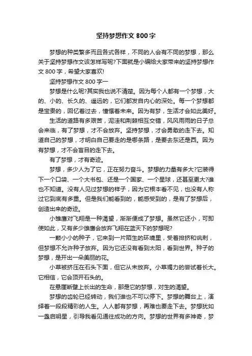 坚持梦想作文800字