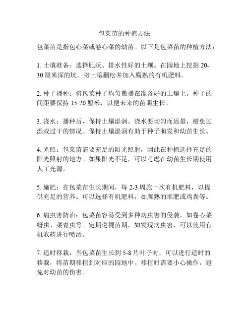 包菜苗的种植方法