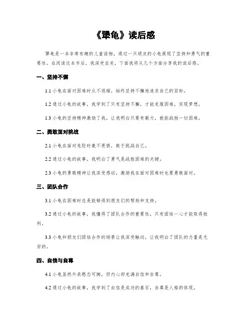 《犟龟》读后感