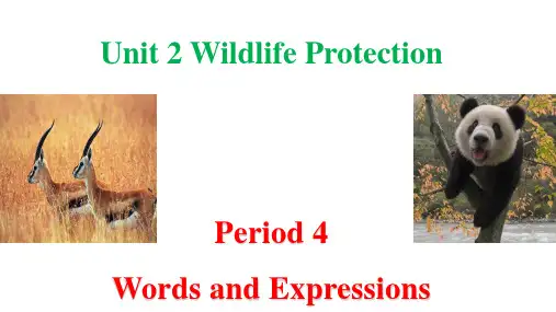 Unit2Wildlife Protection元知识点复习课件高一英语(人教版2019必修第二册)