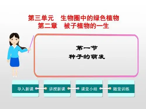 人教版七年级生物上册第三单元第二章被子植物的一生PPT教学课件+习题课件