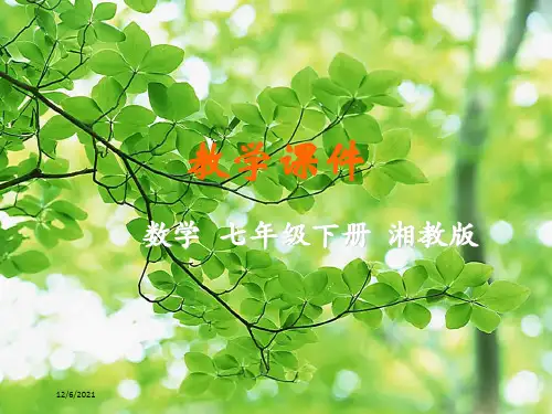 七年级数学下册 第4章 相交线与平行线 4.4 平行线的判定教学课件下册数学课件