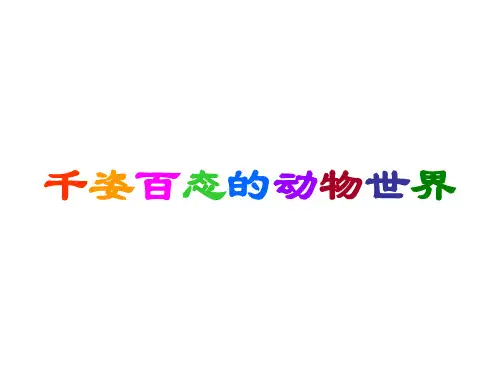 苏教版初中生物八上5. 14.2千姿百态的动物世界 课件 (共24张PPT)