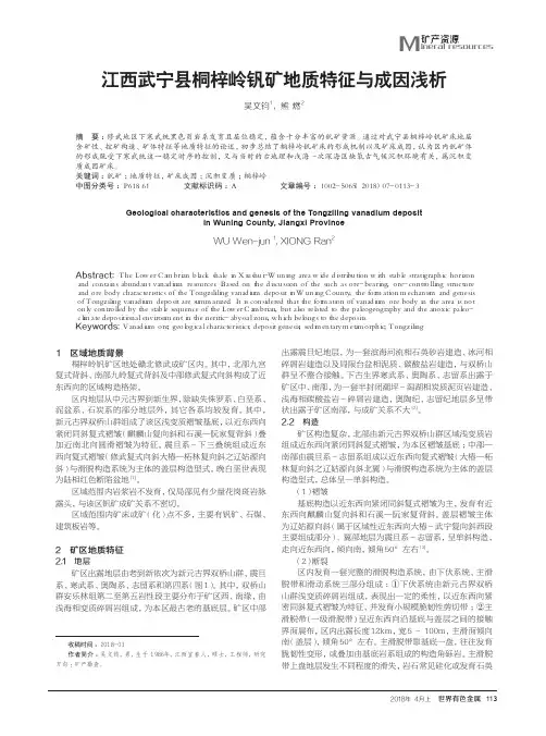 江西武宁县桐梓岭钒矿地质特征与成因浅析