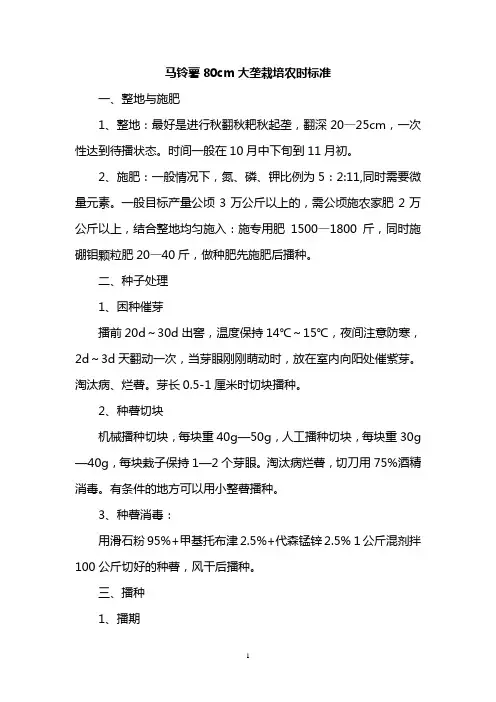 马铃薯80cm大垄栽培农时标准