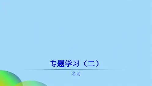 专题学习名词ppt(共18张PPT)