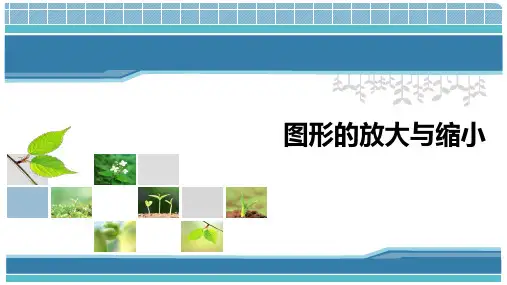 苏教版六年级下册数学 图形放大与缩小课件 