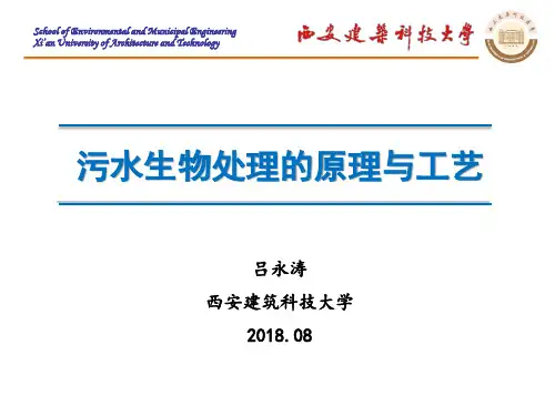 污水生物处理的原理与工艺