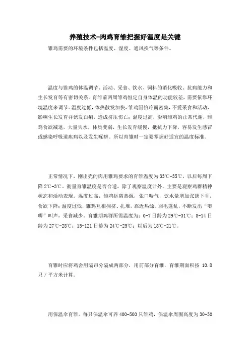 养殖技术-肉鸡育雏把握好温度是关键