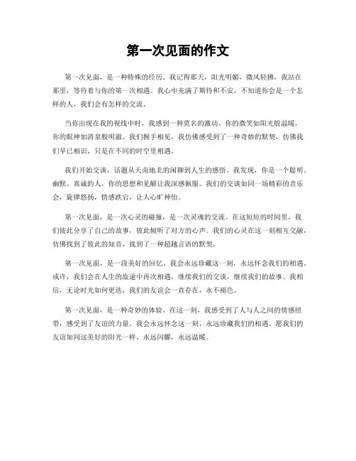 第一次见面的作文