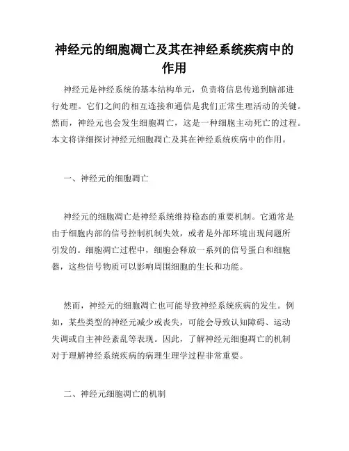 神经元的细胞凋亡及其在神经系统疾病中的作用