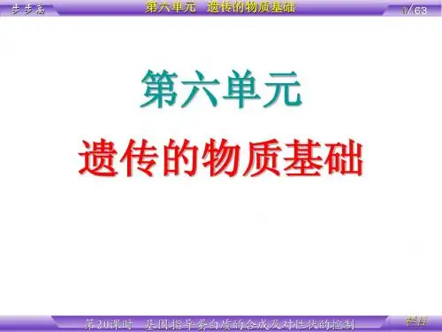 第6单元 遗传的物质基础 第20课时 基因指导蛋白质的合成及对性状的控制