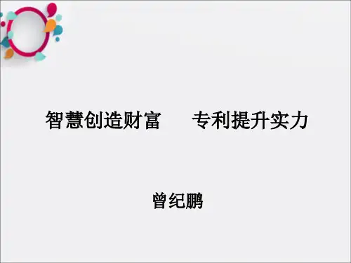 《知识产权保护》PPT课件
