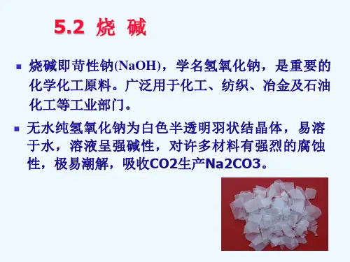 化工工艺学烧碱