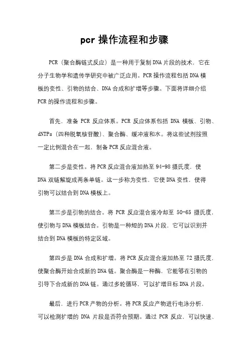 pcr操作流程和步骤