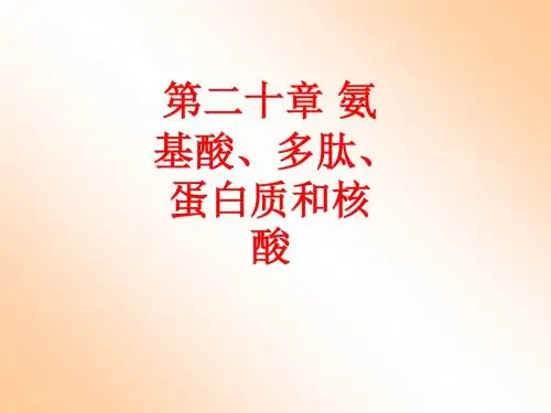 [课件]第二十章 氨基酸、多肽、蛋白质和核酸PPT