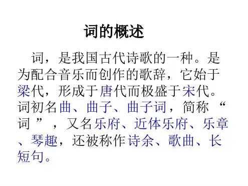 词的发展简史