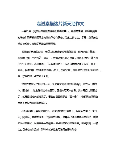 走进素描这片新天地作文
