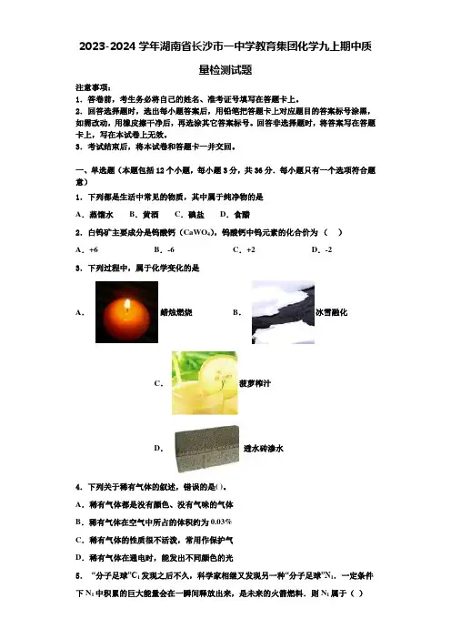 2023-2024学年湖南省长沙市一中学教育集团化学九上期中质量检测试题含解析