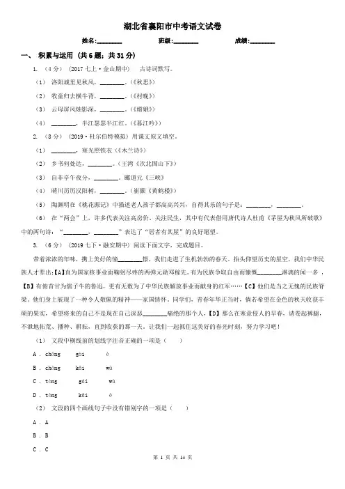 湖北省襄阳市中考语文试卷