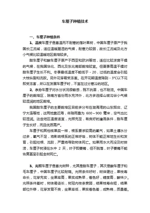 车厘子种植技术