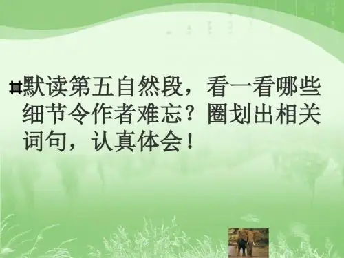 3 《与象共舞》毛庆秋