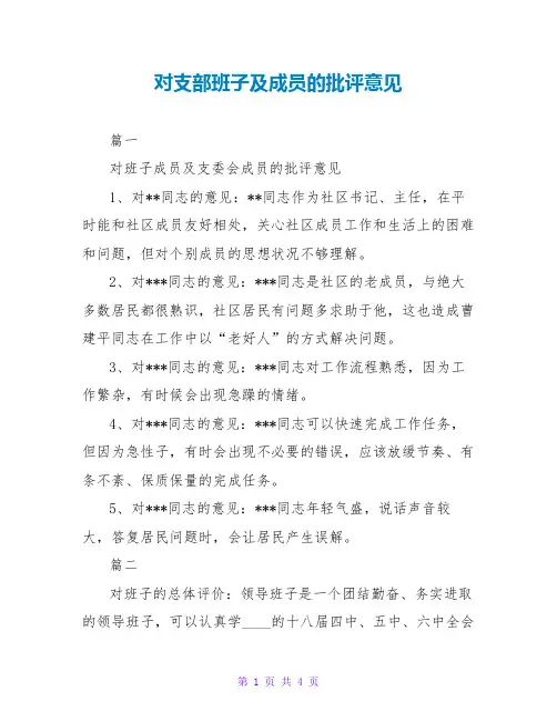 对支部班子及成员的批评意见