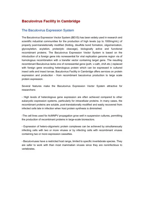 杆状病毒表达系统(The Baculovirus Expression System)