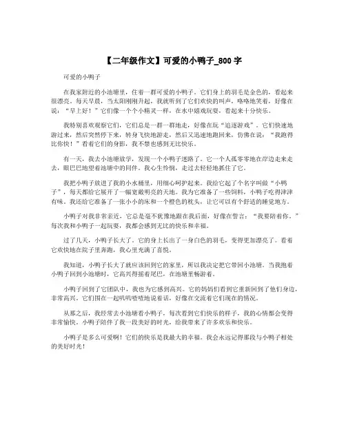 【二年级作文】可爱的小鸭子_800字