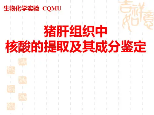 动物组织中核酸的提取及其组成成分的鉴定