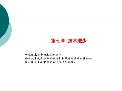 第7章 技术进步