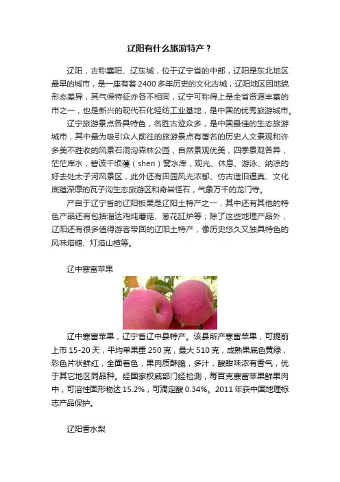 辽阳有什么旅游特产？