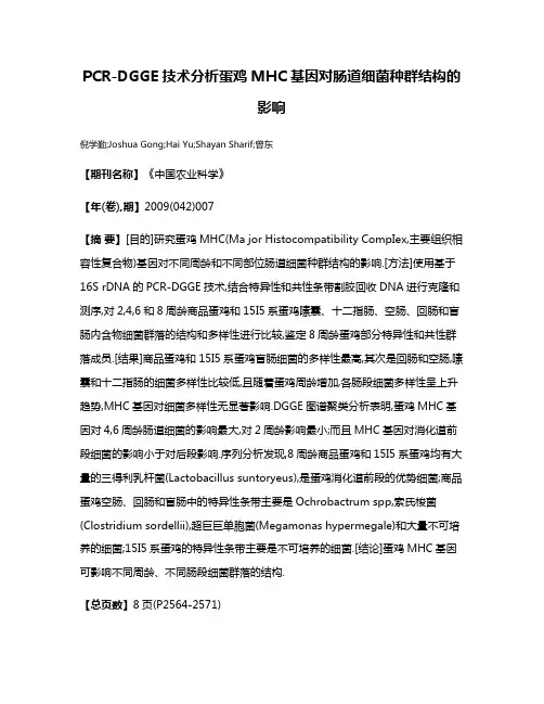 PCR-DGGE技术分析蛋鸡MHC基因对肠道细菌种群结构的影响