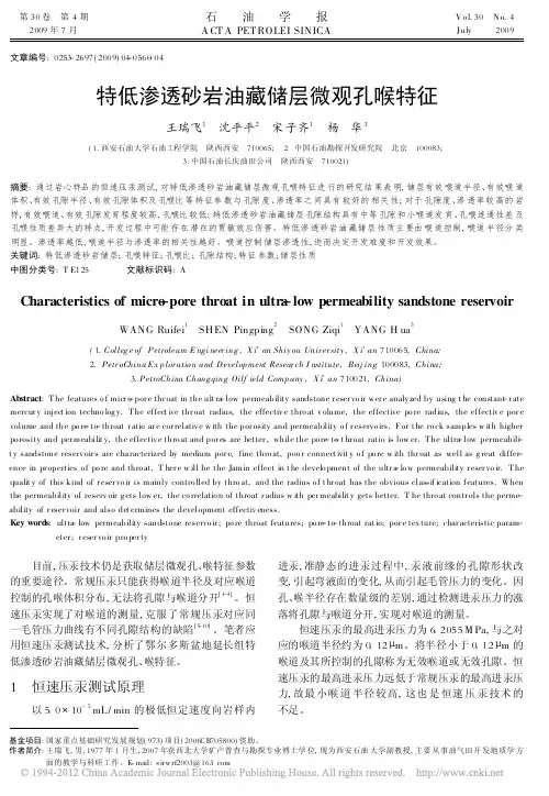 特低渗透砂岩油藏储层微观孔喉特征