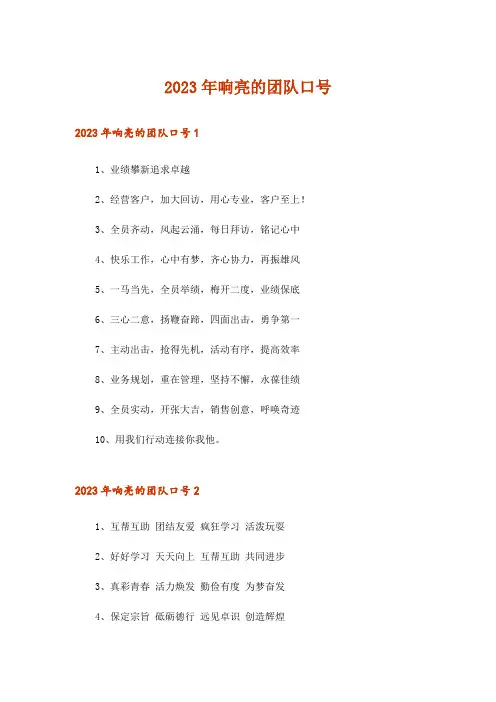 2023年响亮的团队口号