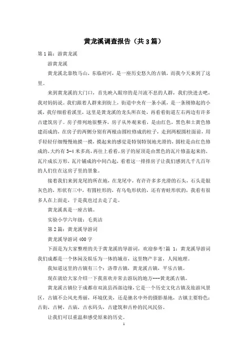黄龙溪调查报告(共3篇)
