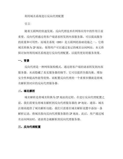 如何利用域名系统进行反向代理配置(十)